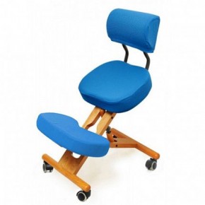 Коленный стул со спинкой Smartstool KW02В + Чехлы в Ишиме - ishim.mebel-74.com | фото