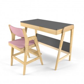 Комплект растущий стол и стул с чехлом 38 попугаев «Вуди» (Серый, Береза, Розовый) в Ишиме - ishim.mebel-74.com | фото