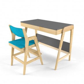 Комплект растущий стол и стул с чехлом 38 попугаев «Вуди» (Серый, Без покрытия, Лазурь) в Ишиме - ishim.mebel-74.com | фото
