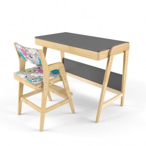 Комплект растущий стол и стул с чехлом 38 попугаев «Вуди» (Серый, Без покрытия, Мечта) в Ишиме - ishim.mebel-74.com | фото