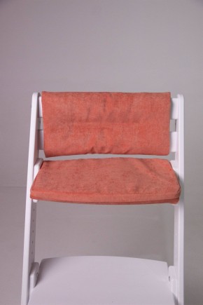 Комплект растущий стул и подушки Конёк Горбунёк Комфорт  (Белый, Терракота) в Ишиме - ishim.mebel-74.com | фото