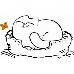 Кровать двухуровневая Кот № 900.1 ЛЕВАЯ (туя светлая/белый) в Ишиме - ishim.mebel-74.com | фото