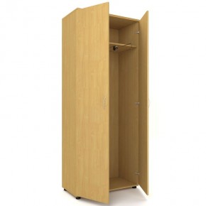 Шкаф для одежды двухстворчатый "Проспект" (Р.Ш-8) в Ишиме - ishim.mebel-74.com | фото
