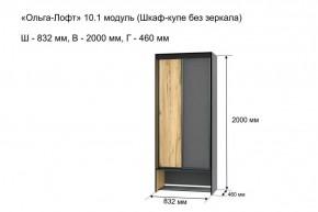 Шкаф купе без зеркала "Ольга-Лофт 10.1" в Ишиме - ishim.mebel-74.com | фото