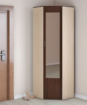 Шкаф угловой с зеркалом "Ольга 9.2" в Ишиме - ishim.mebel-74.com | фото