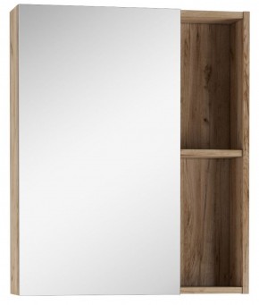 Шкаф-зеркало Craft 60 левый/правый Домино (DCr2203HZ) в Ишиме - ishim.mebel-74.com | фото
