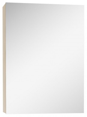 Шкаф-зеркало Мечта 40 Дуб сонома АЙСБЕРГ (DM2317HZ) в Ишиме - ishim.mebel-74.com | фото