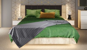 Спальня Джулия Кровать 160 МИ с подъемным механизмом Дуб крафт серый в Ишиме - ishim.mebel-74.com | фото