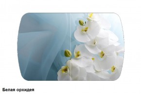 Стол Бостон 900*600 (опоры Брифинг) Стекло/фотопечать Белая Орхидея в Ишиме - ishim.mebel-74.com | фото