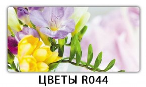 Стол обеденный Трилогия с фотопечатью Цветы R044 в Ишиме - ishim.mebel-74.com | фото