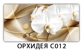 Стол раздвижной Трилогия с фотопечатью Орхидея R041 в Ишиме - ishim.mebel-74.com | фото